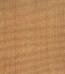 Фурнир Аниегре 